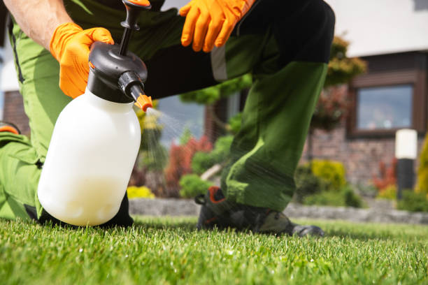 Reliable Galesburg, MI Pest Control Solutions