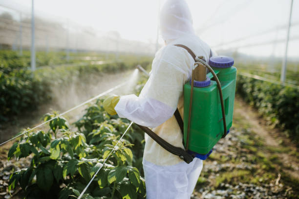Best Termite Control Services  in Galesburg, MI
